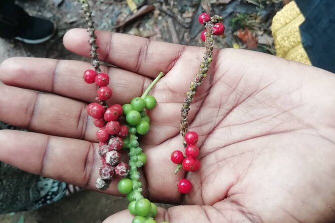 Zanzibar Spice Tour - Frequently Asked Questions