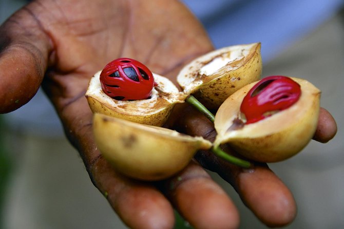 Zanzibar Spice Tour - Pickup Points