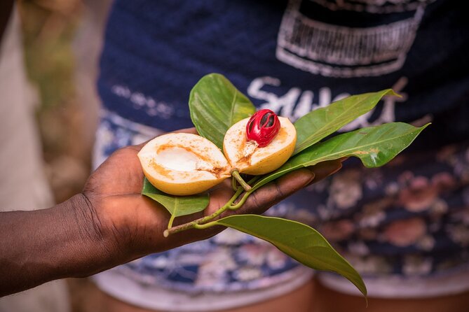 Zanzibar : Stone Town Spice Farm and Prison Island Tour - Tour Expectations