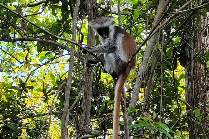 Zanzibar Tours - Additional Information