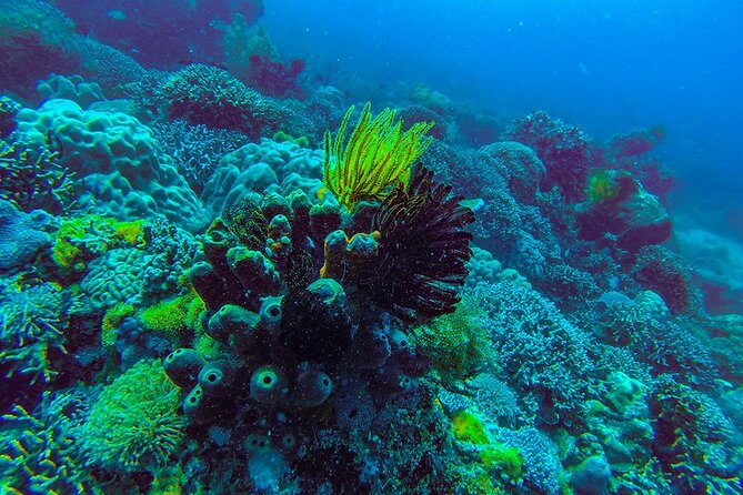 Zanzibar Tumbatu Island Snorkeling - Booking Process & Payment Options
