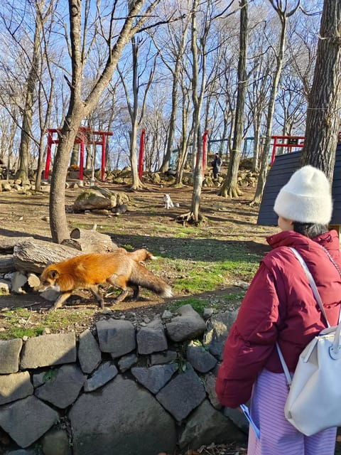 Zao Fox Village 1DAY Bus Tour With Strawberry Picking - Good To Know
