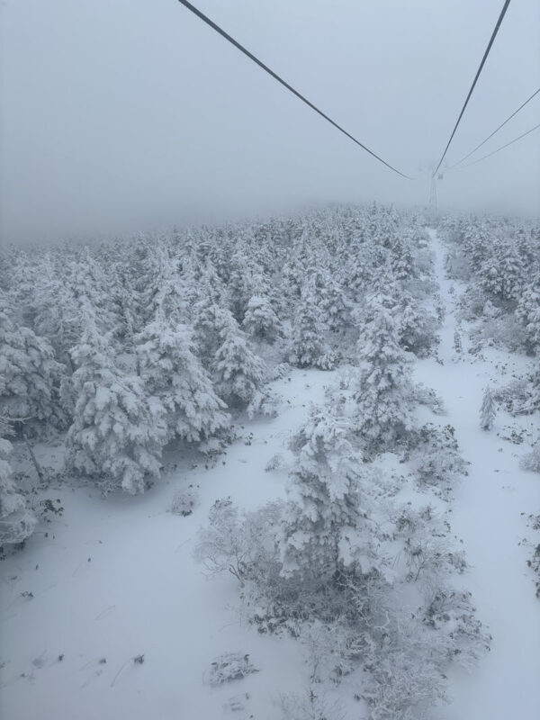 Zao Onsen Ski Lesson with Gear / Chinese Private Group (1-4) - Who should book this lesson