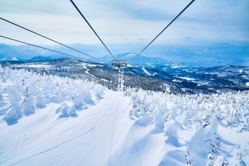 Zao Ropeway & Akiu Shrine Full-Day Tour - Riding up to Zao’s snow monsters