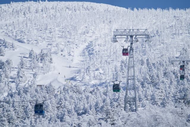 Zao Ropeway & Akiu Shrine Full-Day Tour - Lunch, local specialties, and a useful pause
