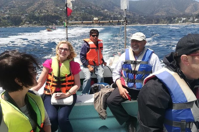 Zapallar and Cachagua Island Experience - Tour Highlights