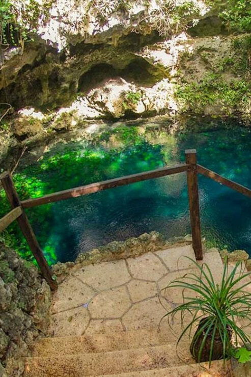 Zapote Cenote - Experience Highlights
