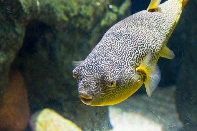 Zaragoza Aquarium Admission Ticket - Tips for Visitors