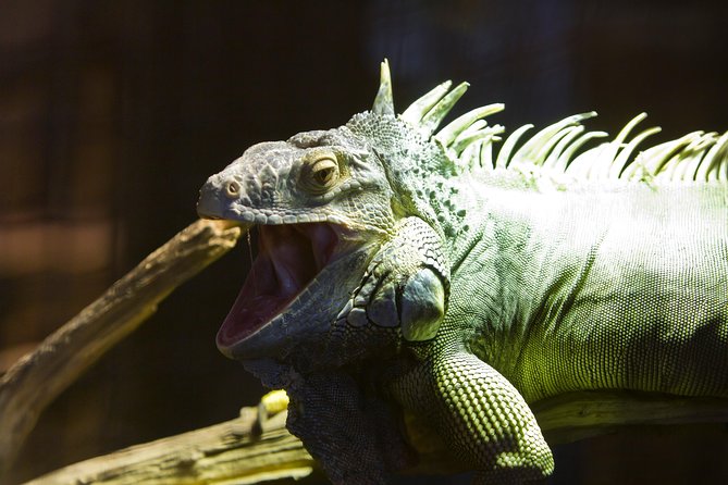 Zaragoza Aquarium Admission Ticket - Common Questions