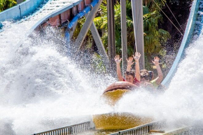 Zaragoza: Combo Amusement Park and Aquarium Entry Ticket - Customer Reviews