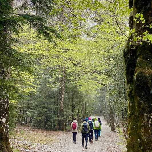 Zaragoza-Pyrenees: Hiking Through the National Park of Ordesa - Good To Know