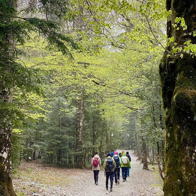 Zaragoza-Pyrenees: Hiking Through the National Park of Ordesa - Itinerary Details