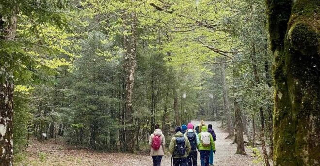 Zaragoza-Pyrenees: Hiking Through the National Park of Ordesa - Experience Highlights
