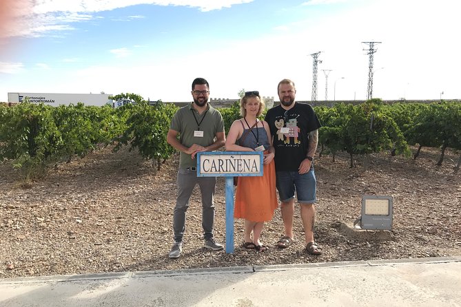 Zaragoza to Cariñena Wineries Full-Day Private Tour - Wine-making Traditions