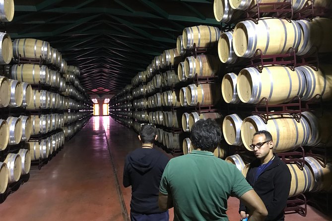 Zaragoza to Cariñena Wineries Full-Day Private Tour - Round-trip Transfer