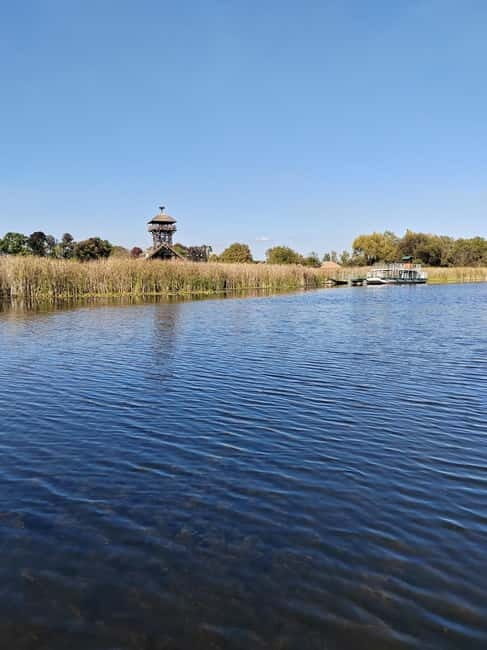 Zasavica Safari Tour - Good To Know