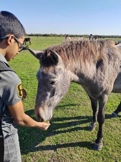 Zasavica Safari Tour - Exploring the Zasavica Safari Tour