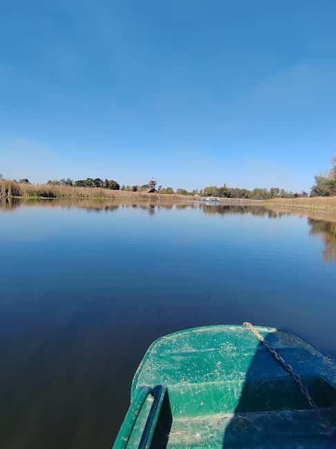 Zasavica Safari Tour - Who Will Love This Tour?