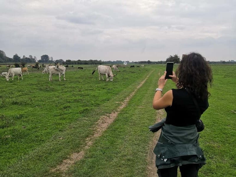 Zasavica Safari Tour - FAQ