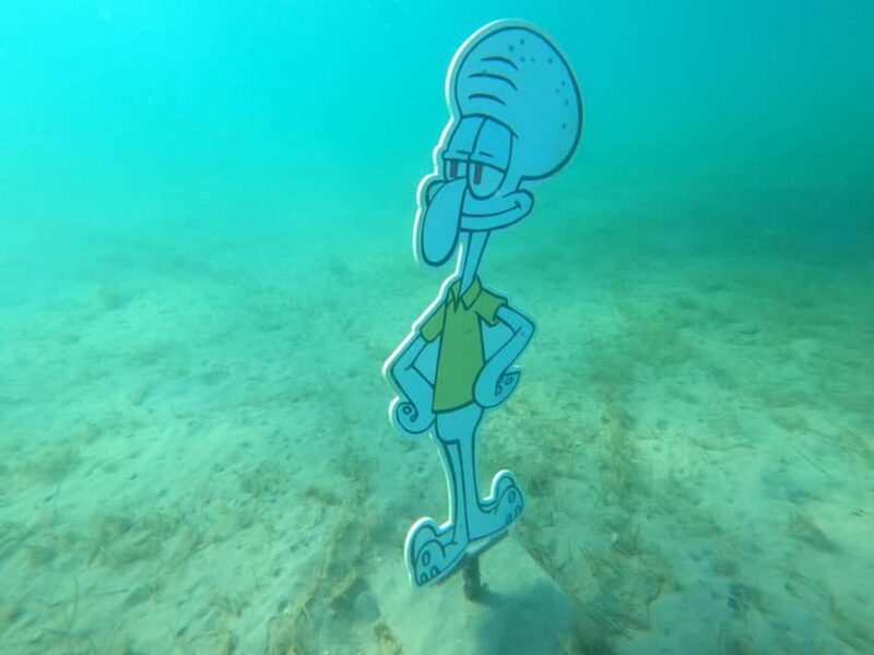 Zaton: Semi-Submarine Tour with Underwater Views - Final Thoughts