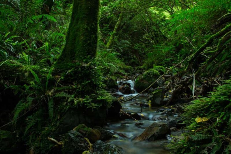 Zealandia by Day Tour - Final Thoughts