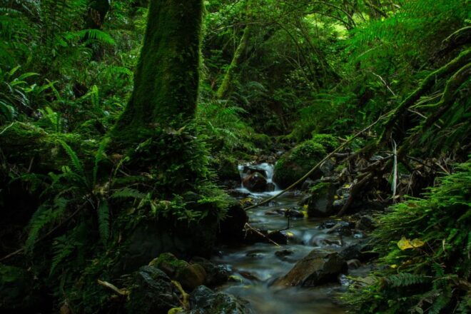Zealandia by Day Tour - Additional Information
