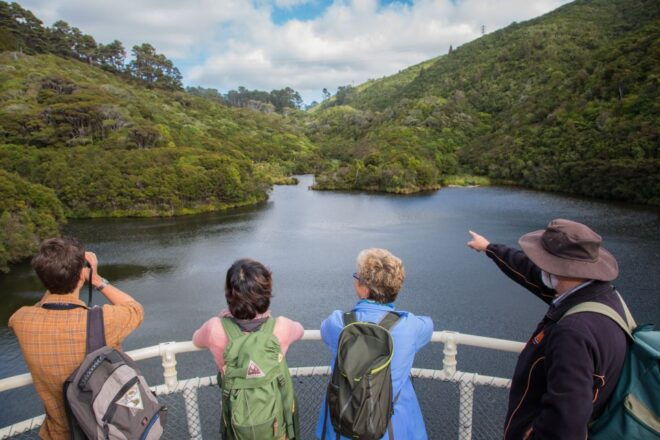 Zealandia by Day Tour - Related Tours and Reviews