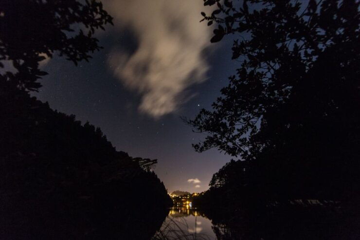 Zealandia by Night Tour - Booking Details