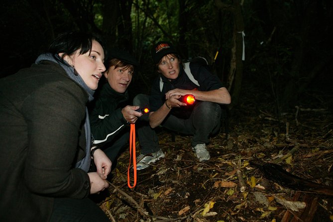 Zealandia Small Group Eco Wildlife Night Tour - Overview of Zealandia Small Group Eco Wildlife Night Tour