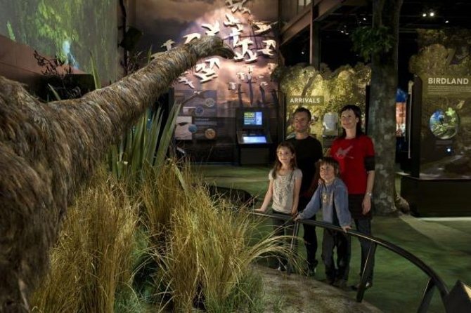 Zealandia Small Group Eco Wildlife Night Tour - The Sum Up