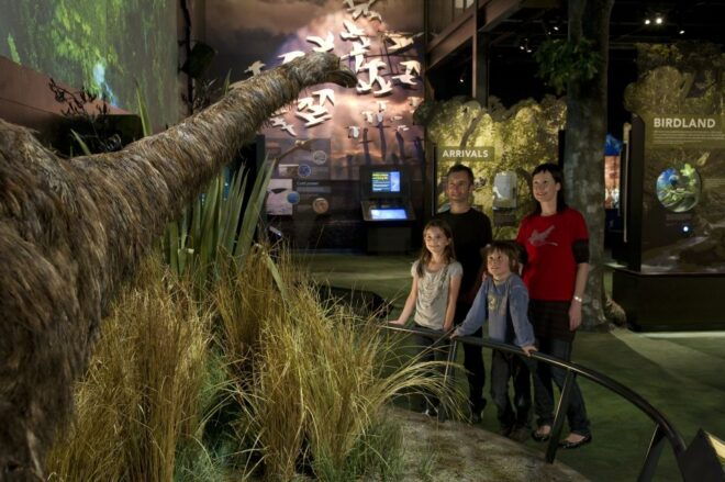 Zealandia Twilight Ecosanctuary Tour - Customer Reviews