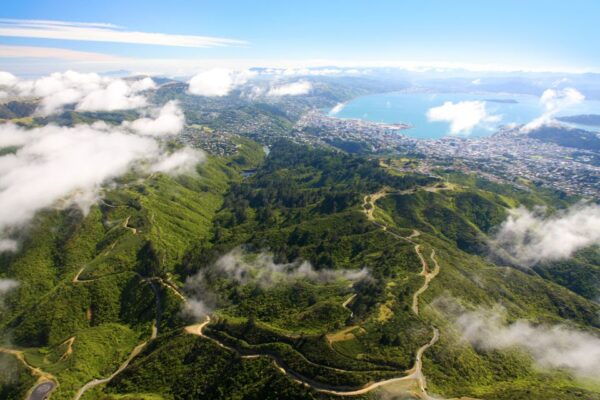 Zealandia Twilight Ecosanctuary Tour - Directions to Zealandia Twilight Ecosanctuary