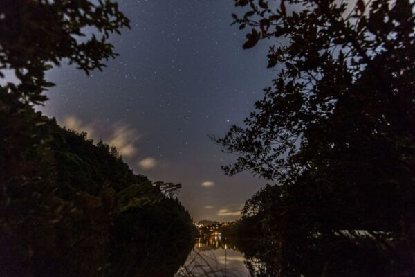 Zealandia Twilight Ecosanctuary Tour - Reserve Now and Pay Later