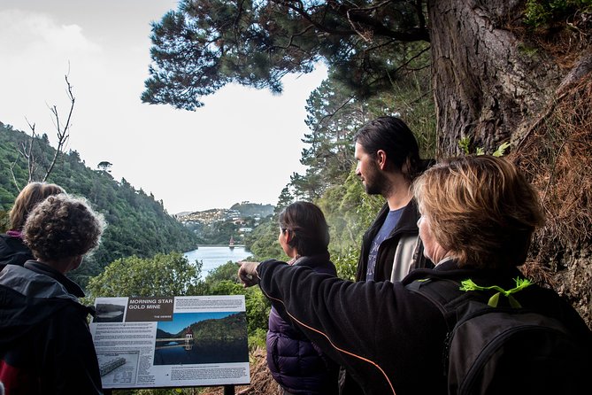 Zealandia - Twilight Guided Eco Wildlife Tour - Booking Process