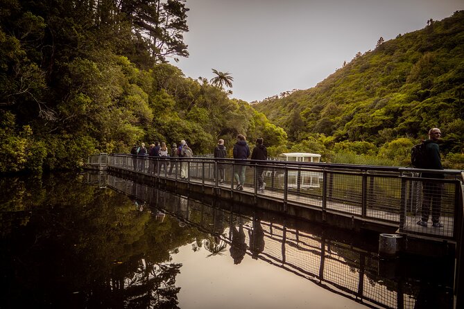 Zealandia - Twilight Guided Eco Wildlife Tour - Tour Overview