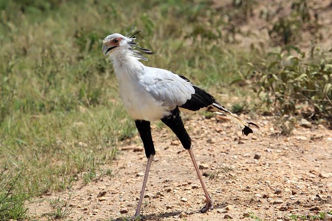 Zebra Trail Makgadikgadi Day Trip - Location Details