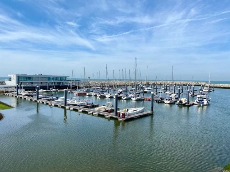 Zeebrugge: Seal Watching Boat Tour With Glass of Champagne - Activity Details