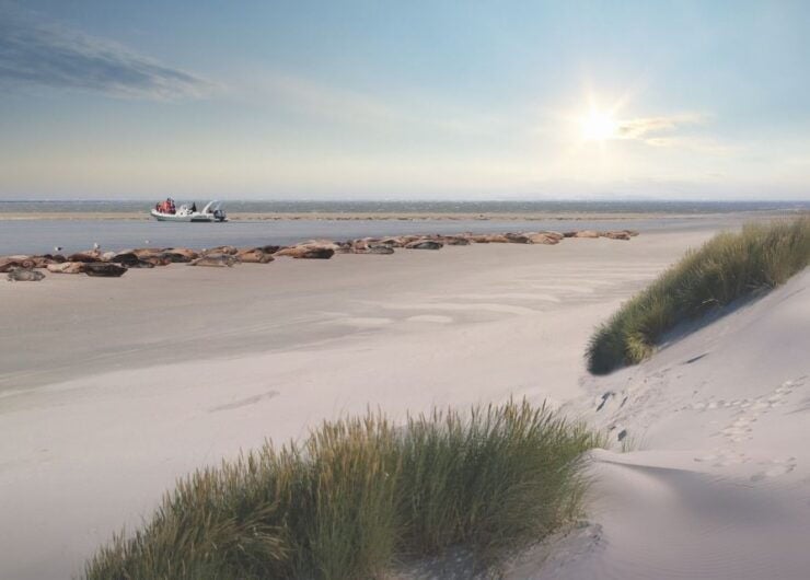 Zeebrugge: Seal Watching Boat Tour With Glass of Champagne - Experience Highlights
