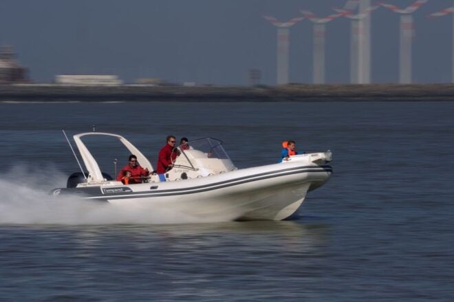 Zeebrugge: Seal Watching Boat Tour With Glass of Champagne - Language and Accessibility