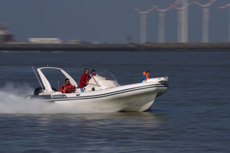 Zeebrugge: Seal Watching Boat Tour With Glass of Champagne - Activity Details