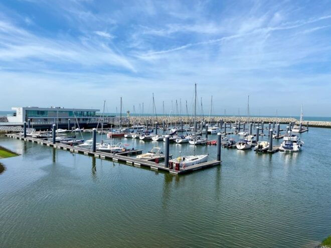 Zeebrugge: Seal Watching Boat Tour With Glass of Champagne - Full Description