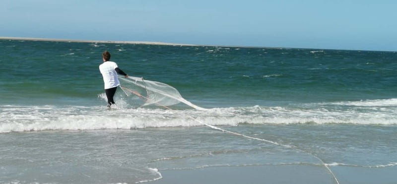 Zeeland Strand safari met visnet NL/DE - Who Should Consider This Tour?