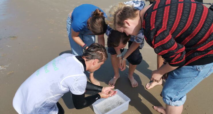 Zeeland Strand Safari Met Visnet Nl/En/De Private Tour - Good To Know