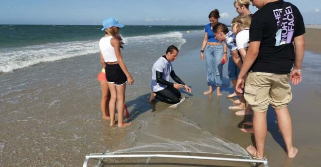 Zeeland Strand Safari Met Visnet Nl/En/De Private Tour - Potential Discoveries