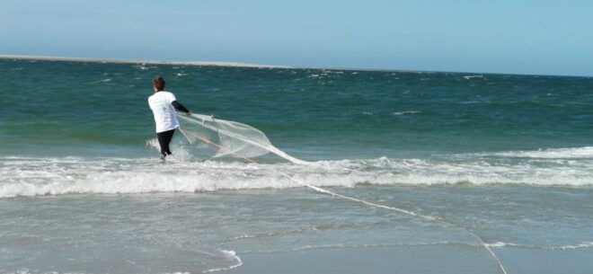 Zeeland Strand Safari Met Visnet Nl/En/De Private Tour - Educational Highlights
