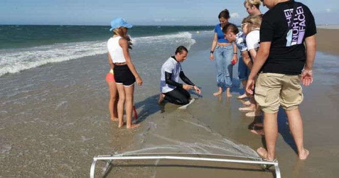 Zeeland Strand Safari Met Visnet Nl/En/De Private Tour - What to Expect