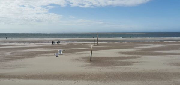 Zeeland Strand Safari Met Visnet Nl/En/De Private Tour - Accessibility and Safety