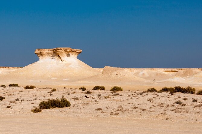 Zekreet Rock Formation, Richard Serra Tour & Camel Race Tour - Tour Highlights