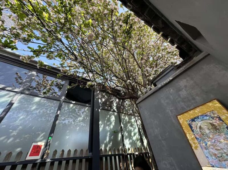 Zen Beijing: Guided Meditation, Tea & Hutong Culture Walk - A Quiet Escape in the Heart of Beijing