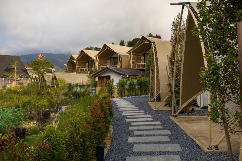 Zen by Stellar Glamping Resort Experience at Cameron Highlands - Tea, dining and the value of staying in